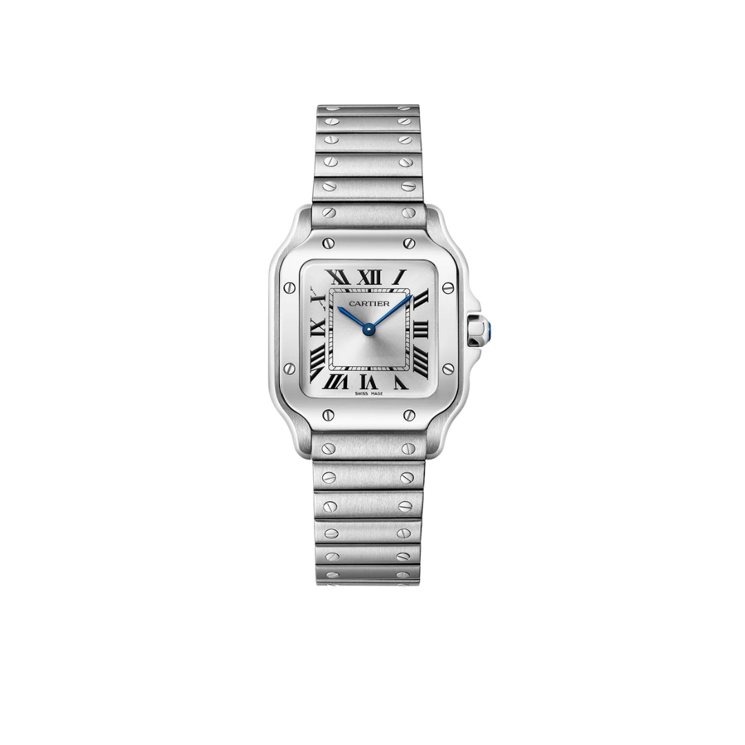 Cartier Santos Silver